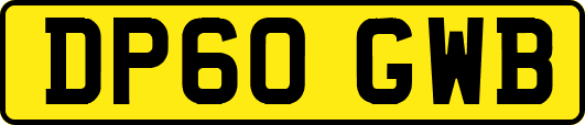 DP60GWB