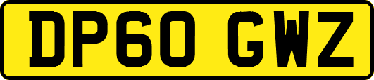 DP60GWZ