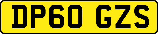 DP60GZS