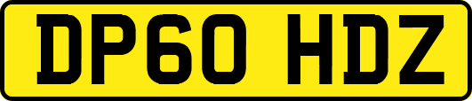 DP60HDZ
