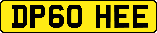 DP60HEE