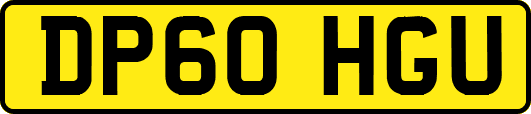 DP60HGU