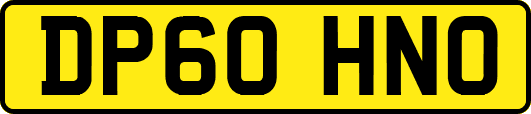 DP60HNO