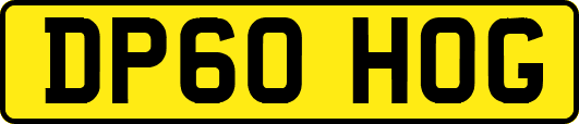DP60HOG