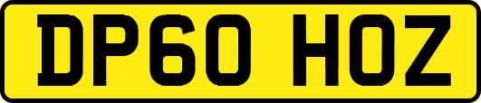 DP60HOZ