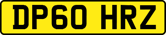 DP60HRZ