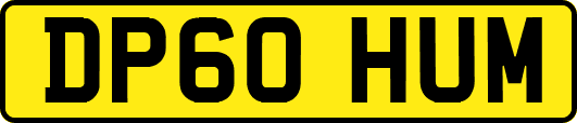 DP60HUM