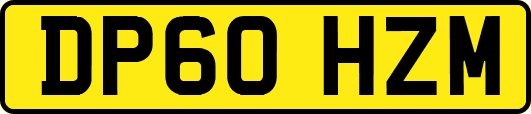 DP60HZM