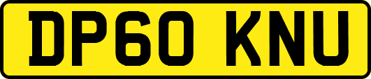 DP60KNU