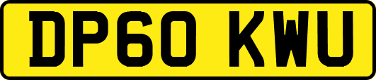 DP60KWU
