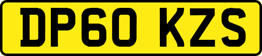 DP60KZS
