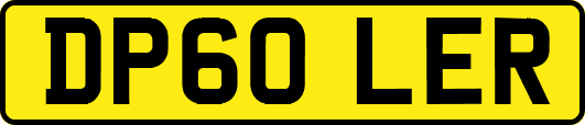 DP60LER