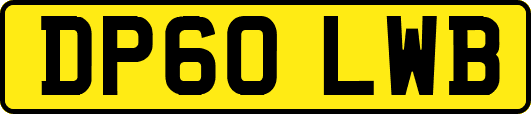 DP60LWB