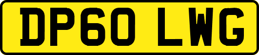 DP60LWG