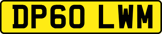 DP60LWM