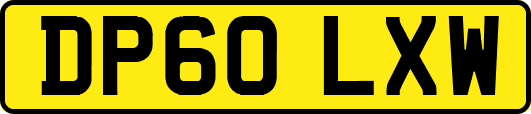 DP60LXW