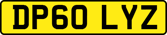 DP60LYZ