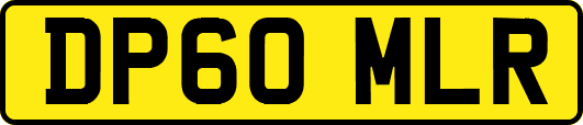 DP60MLR
