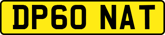 DP60NAT