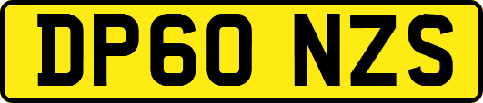 DP60NZS