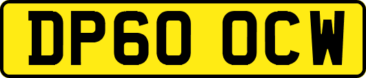 DP60OCW
