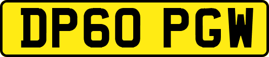 DP60PGW