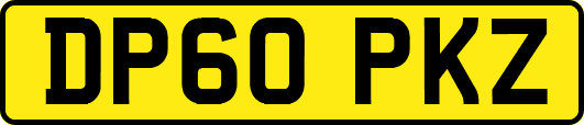 DP60PKZ