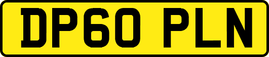 DP60PLN
