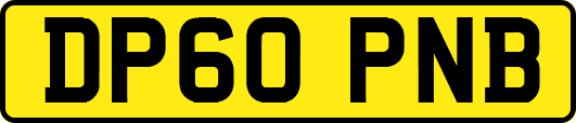 DP60PNB