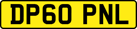 DP60PNL