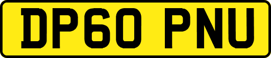 DP60PNU