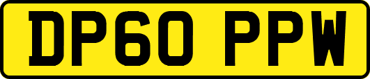 DP60PPW