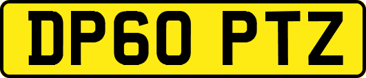 DP60PTZ