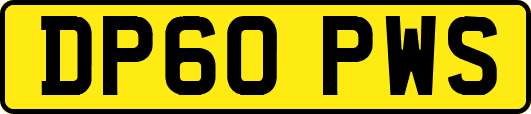 DP60PWS