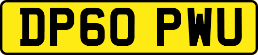 DP60PWU
