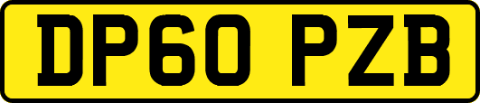 DP60PZB