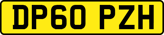 DP60PZH