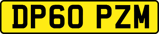 DP60PZM