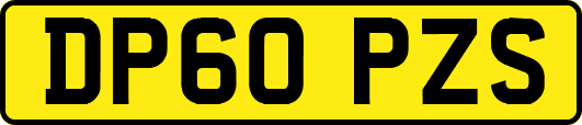 DP60PZS