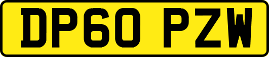 DP60PZW
