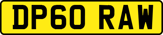 DP60RAW