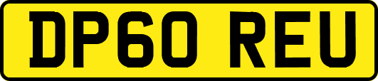 DP60REU