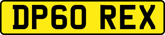 DP60REX