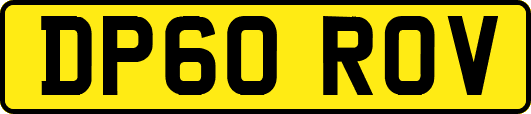 DP60ROV