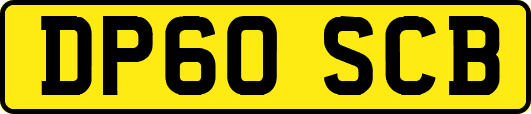 DP60SCB