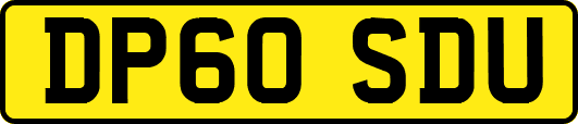 DP60SDU