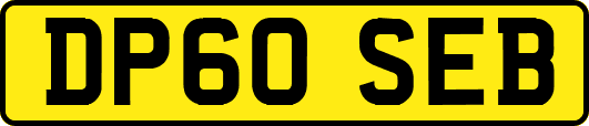 DP60SEB