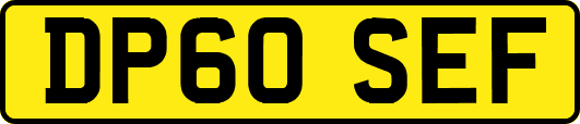 DP60SEF