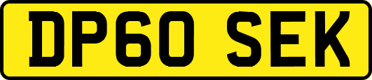 DP60SEK