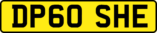 DP60SHE